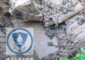 猇亭区水管漏水检测公司5